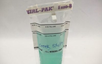 Presence/Absence Test Results for Water Samples