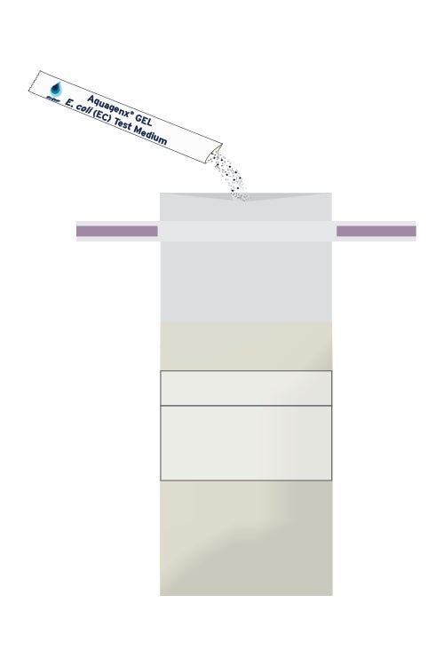 step 2 ecoli 061222